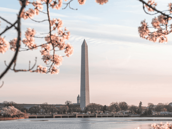 Washington D.C. region